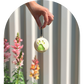 ❂ Silicone Ball Holder in Oatmeal ❂