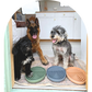 The Cahli Bowl - Slow Feeder & Lick Bowl in Peach